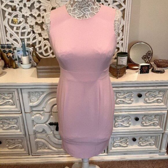 Kasper Sleeveless Pink Sheath Dress - Picture 1 of 7